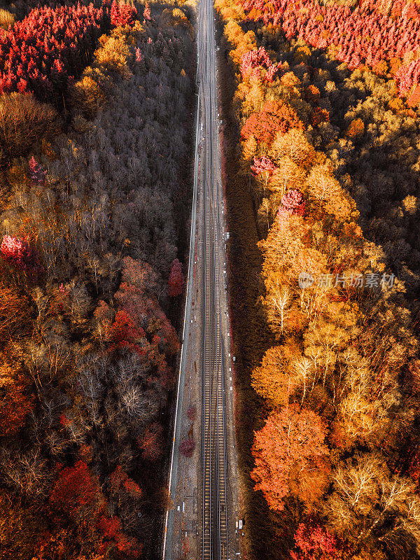 秋季森林景观中的铁路鸟瞰图