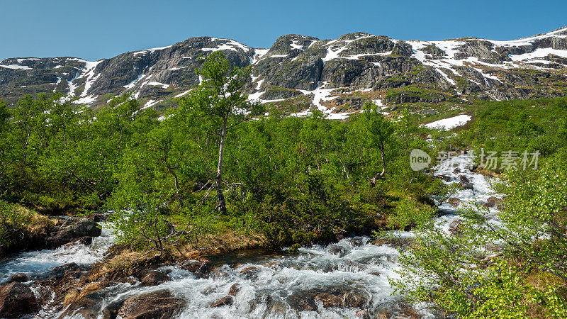 山景与奔流的溪流。Setesdal，挪威南部Valle镇附近