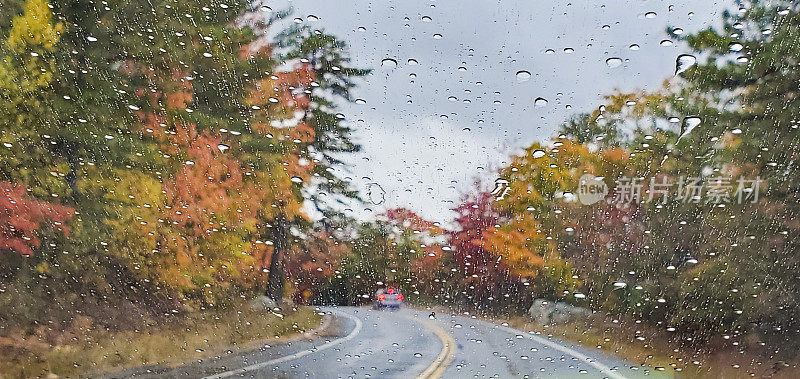纽约州卡茨基尔的秋日蜿蜒潮湿的道路
