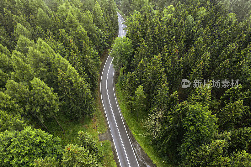 鸟瞰绿色森林中的山路