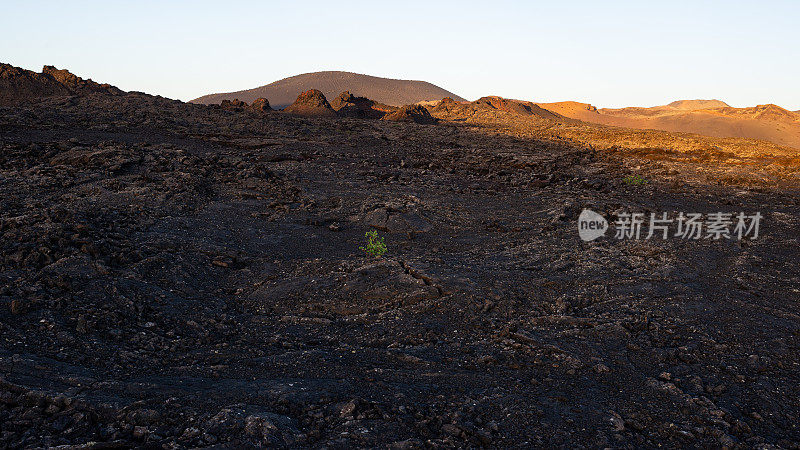 黄昏时兰萨罗特岛加那利岛的火山景观