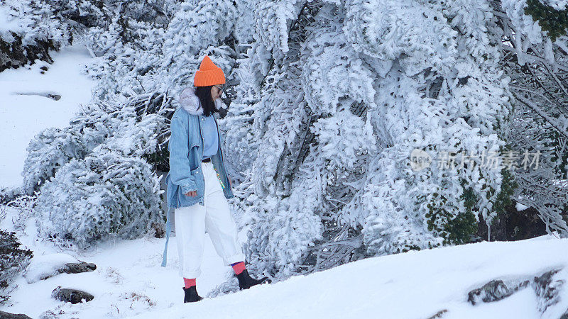 一个女人在寒冷的天气里穿行于白雪覆盖的山林之中