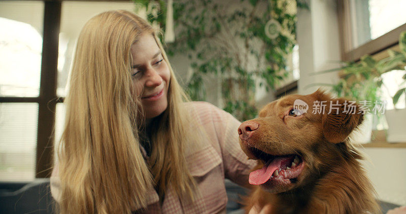 一位女士和心爱的宠物狗新斯科舍省鸭鸣猎犬一起躺在沙发上，愉快地抚摸着它