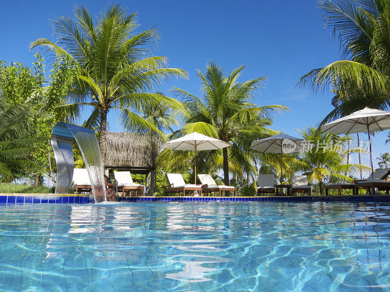 明亮的热带游泳池与棕榈树庭院
