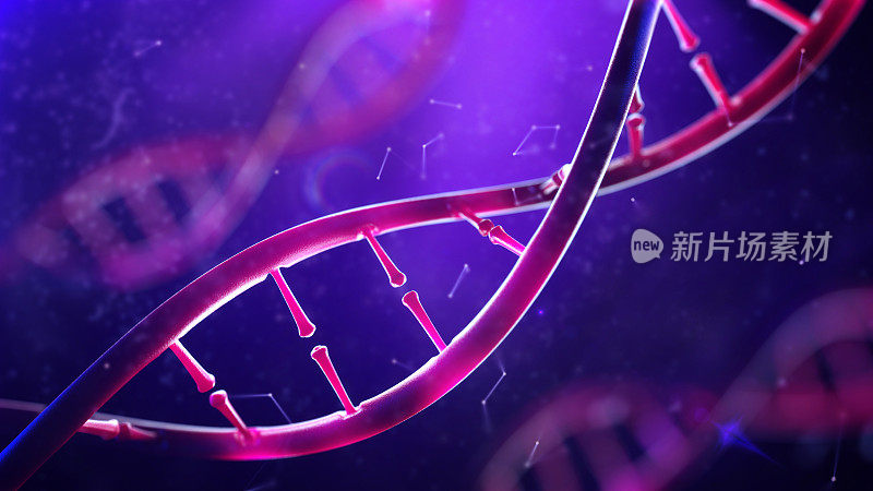 DNA分子。人类基因组概念的特写。