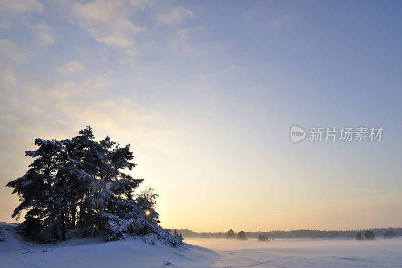 下雪的冬天的风景