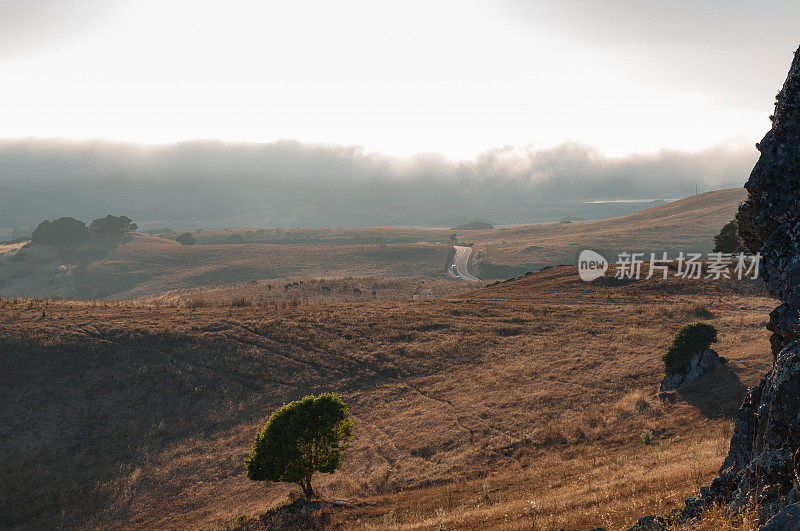 加州马林县附近的乡村公路