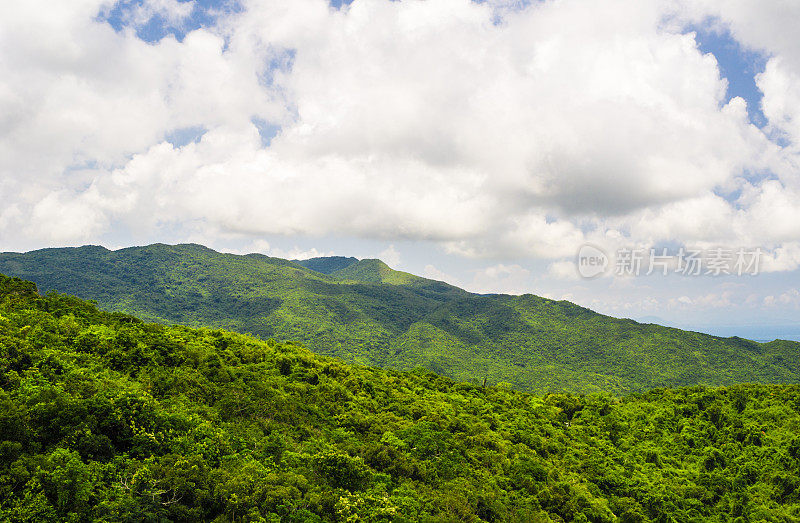 中国海南的山地热带雨林