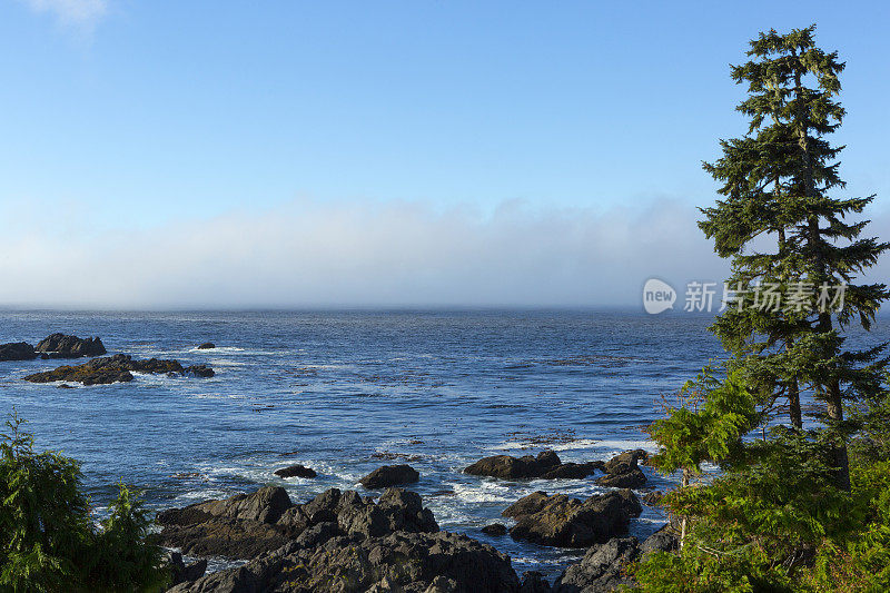 Ucluelet,温哥华岛