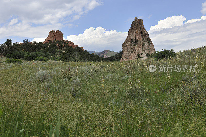 山地草甸的岩层