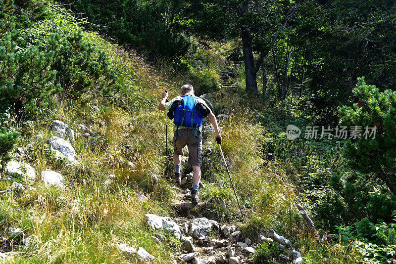 高山徒步旅行