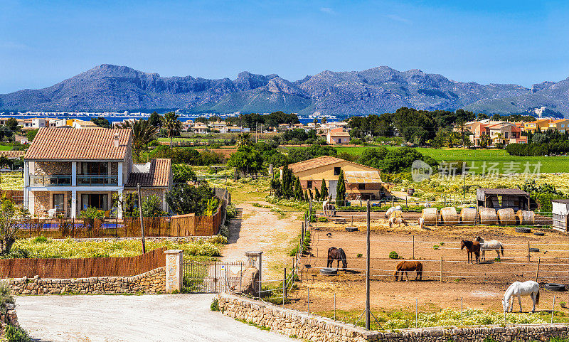 Alcudia(马略卡岛)景观