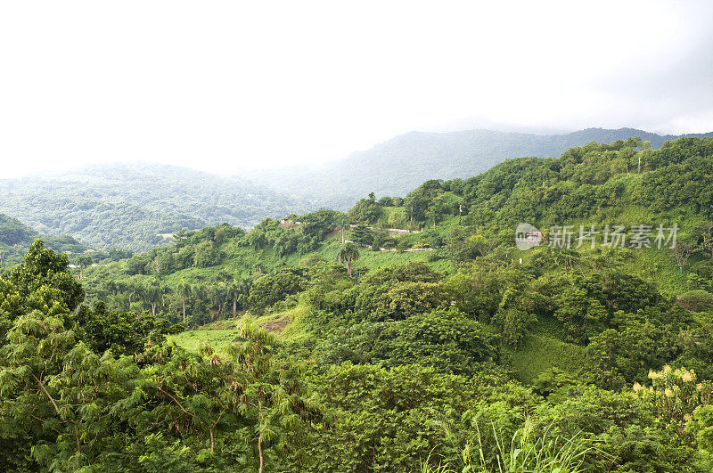 波多黎各雨林和山脉