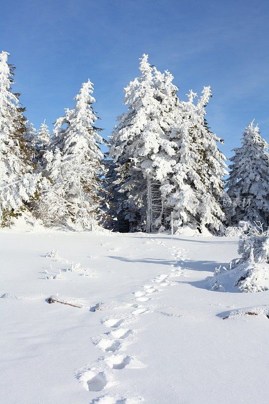 冬季景观与小径