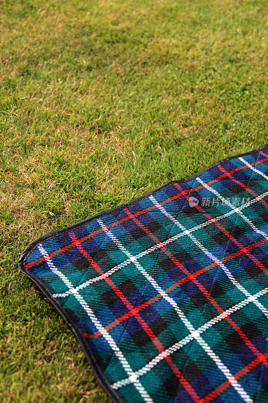 草地上的法兰绒图案野餐毯