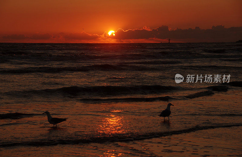 海滩上的日落