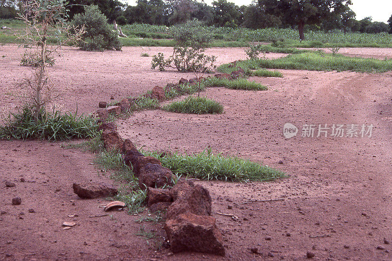 水土保持岩石屏障布基纳法索萨赫勒非洲
