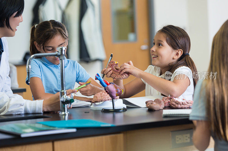 在学校科学课上，兴奋的学生正在学习大脑模型玩具