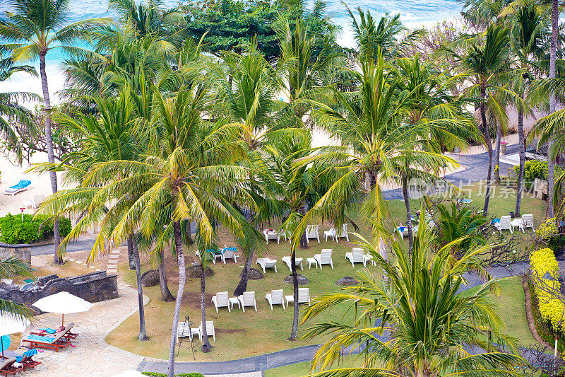 巴厘岛热带棕榈树下空荡荡的沙滩椅