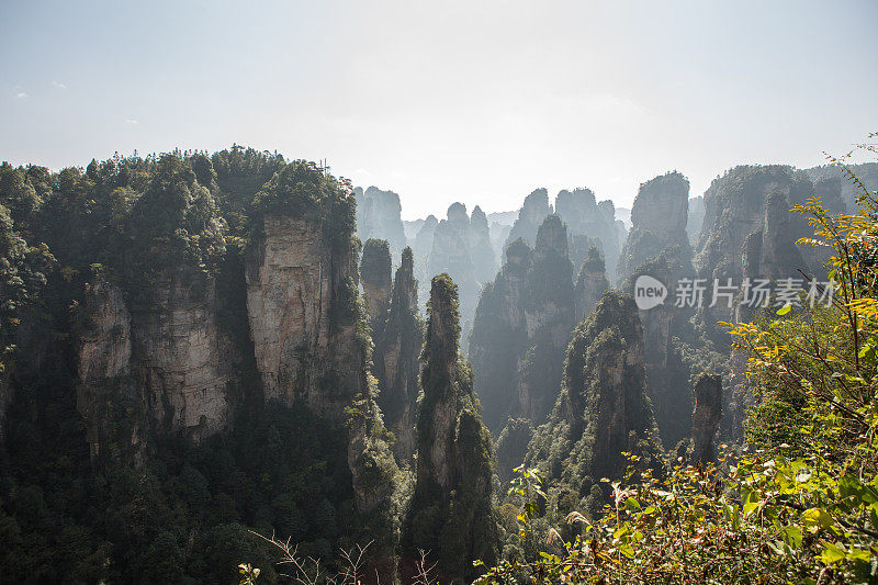 砂岩柱，张家界国家森林公园，中国