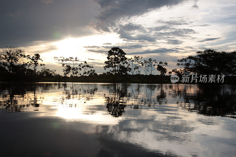 日落时的亚马逊热带雨林，巴西