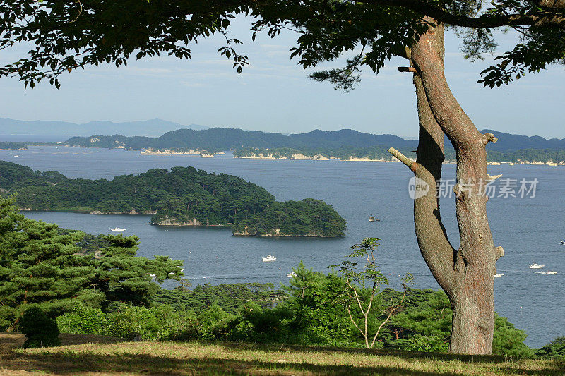 松岛湾