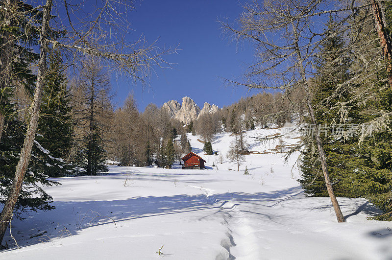 森林里的小木屋(意大利Dolomites)