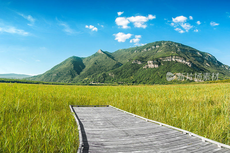 美丽的山景，阳光下的田野里有木栈道