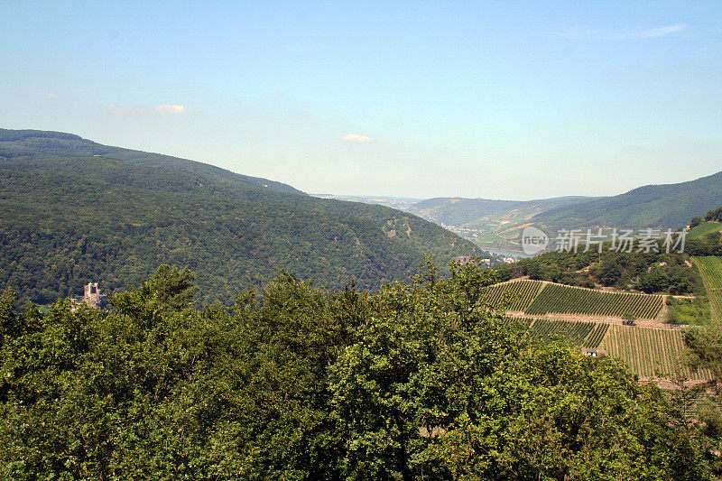 德国:升降机网址是Rüdesheim