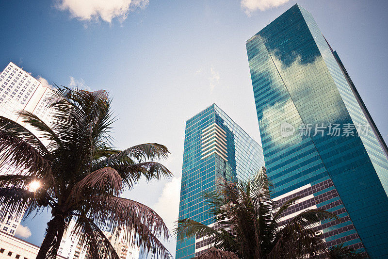 迈阿密市中心金融区，摩天大楼和棕榈树