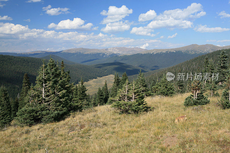 高山的观点