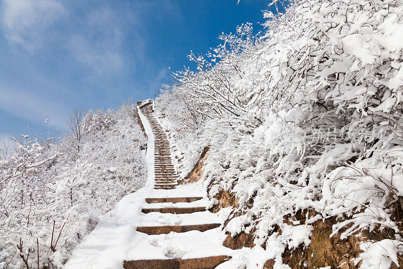 石头踩在雪山上