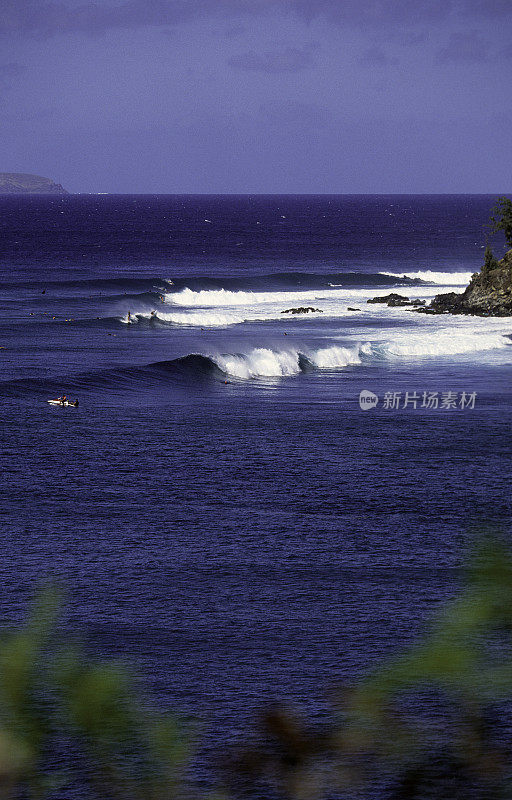 美国夏威夷毛伊岛，檀香山湾，冲浪。