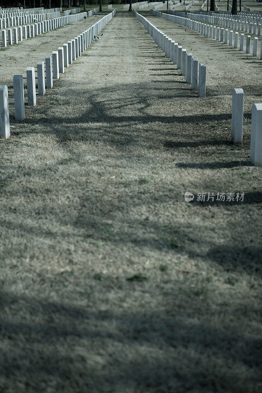 军事墓地里白色的墓碑