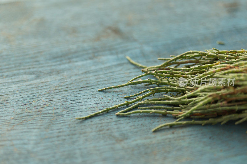 新鲜Samphire-Salicornia