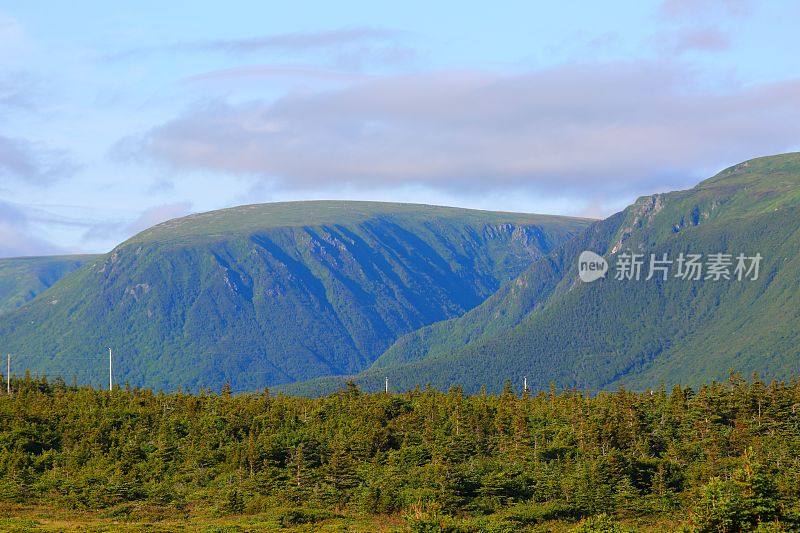 纽芬兰山景