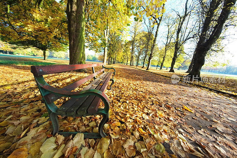 奇异视角下的秋天公园长椅