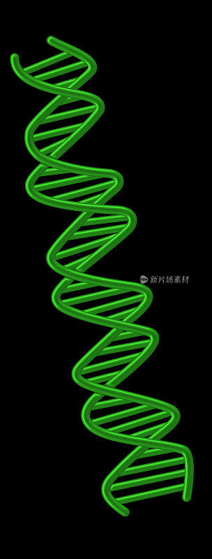 绿色DNA