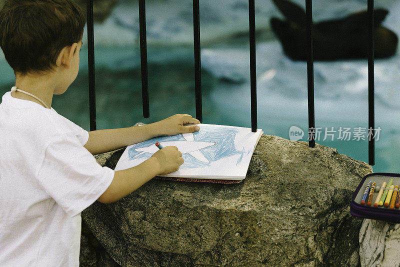 男孩画海豹