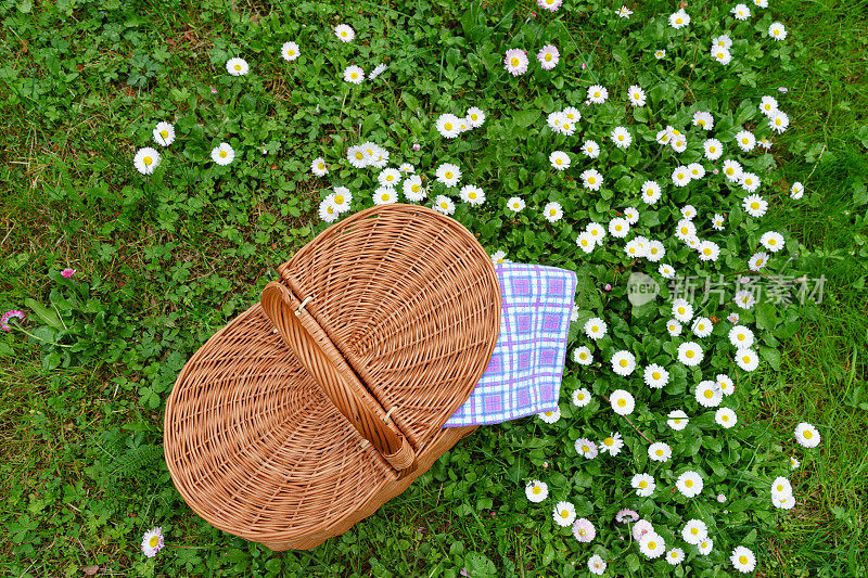 野餐篮和草地上的蓝白色格子餐巾