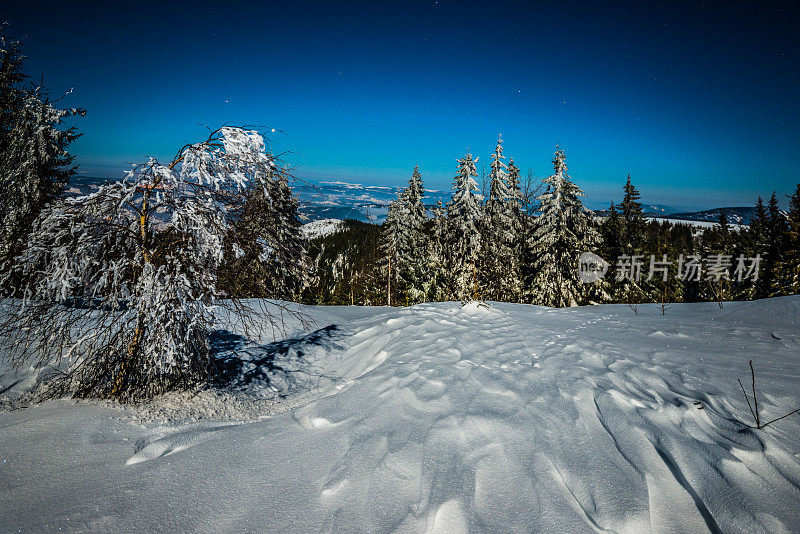 雪山里的夜星