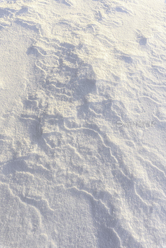 雪堆、风在雪面上雕刻出图案