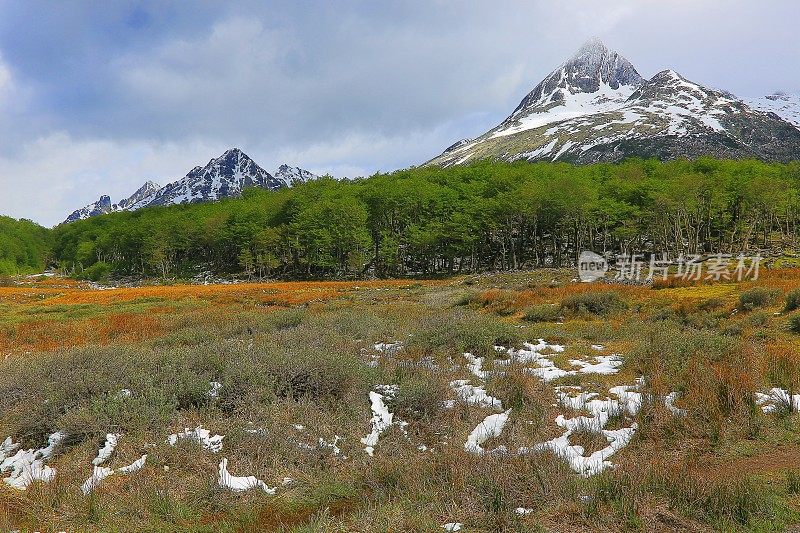 田园诗般的雪山安第斯景观，乌斯怀亚-火地岛，阿根廷