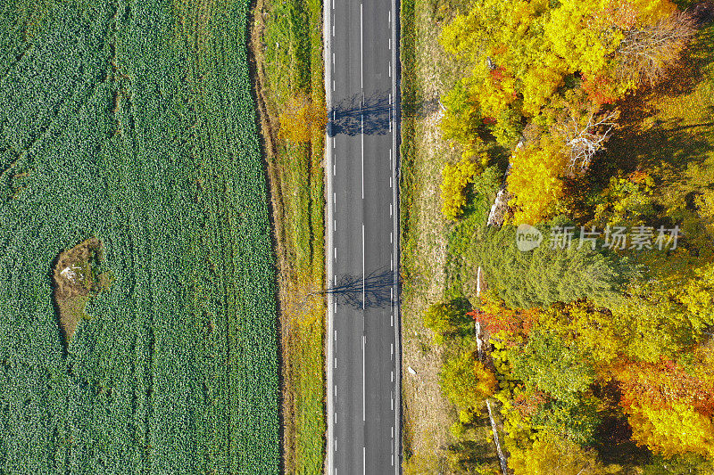 道路，m狭窄的道路景观，鸟瞰图从上面