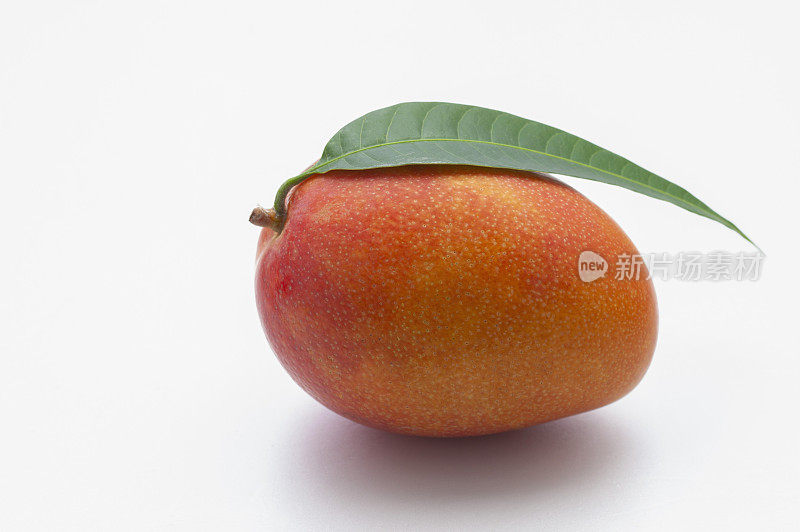 水果,芒果