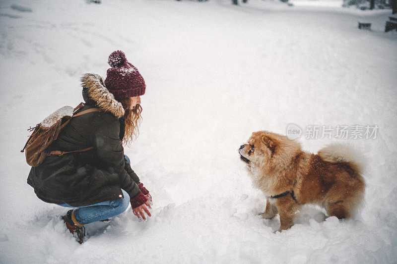 雪中的女孩和她的狗