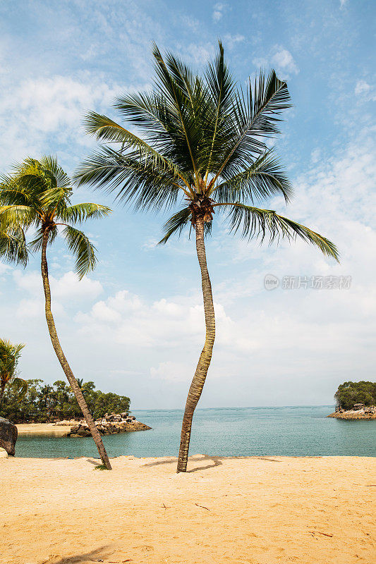 新加坡圣淘沙岛海滩