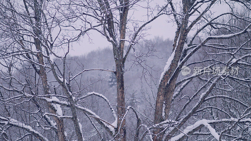 冬季仙境。的雪山风景