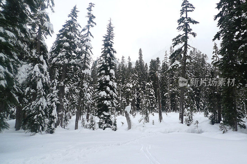 英联邦盆地雪鞋