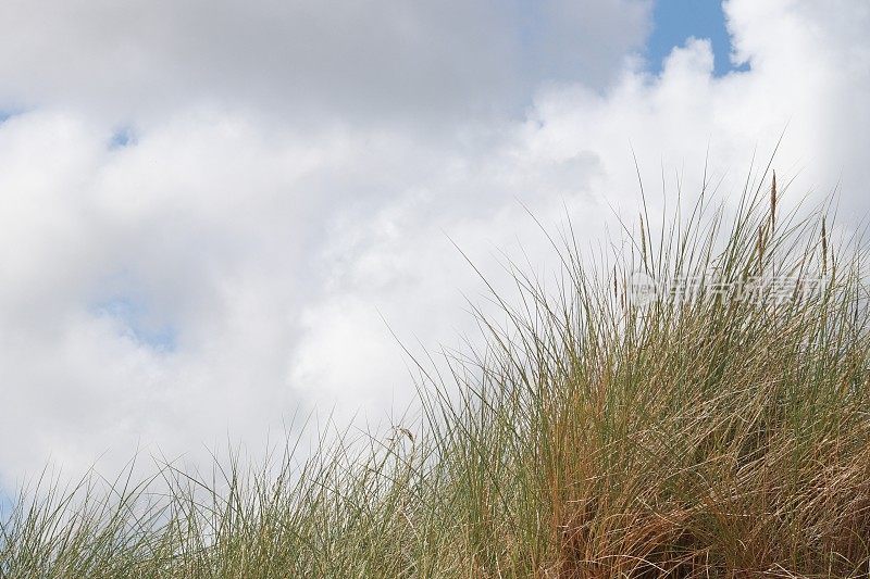 云在玛拉姆草地上的沙丘